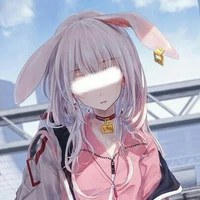 y/n