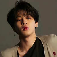 Lam (Asisten Vin)