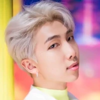 namjoon (rm)
