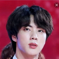 seokjin (SJ)
