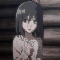 Mikasa