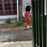 paklemen