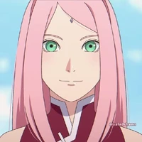 sakura