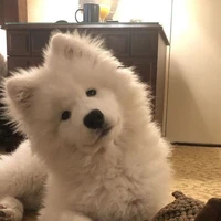 ลักกี้🐶