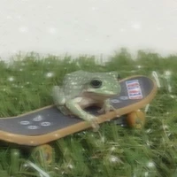 𝖠𝗎𝗍𝗁𝗈𝗋