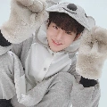 Jun-Koala