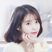 le jie un