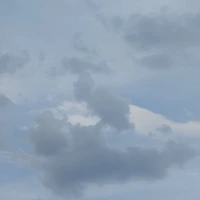 แอดเอง