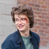 Steve Harrington 