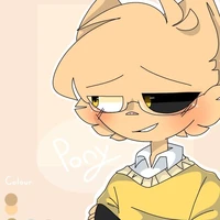 Pony (O)