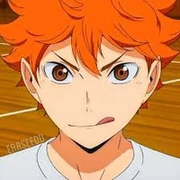 ~•Hinata Shoyo•~
