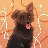Maxy
