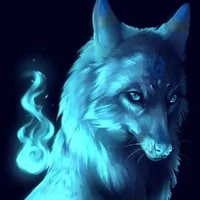 liam(casius wolf)