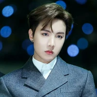 kim hoseok  ( j- hope )
