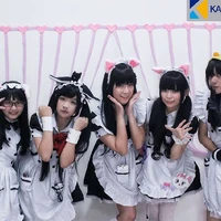 Maid