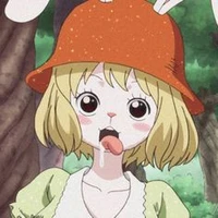 carrot