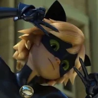 Chat noir