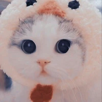 เฟรนด์(แมว)