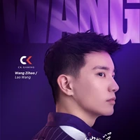 หวังลู่ (เพื่อนจิงหยาง)
