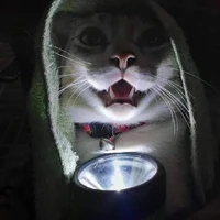 author(●’◡’●)