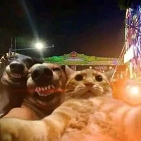 დ .•*””*•(Author)•*””*•.დ