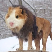 เหล่าเทพ