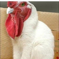 เหล่ามนุษย์