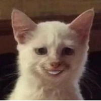 แมวผี