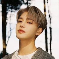Hwang Taeil