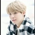 suga