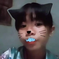 ไนน์เกน
