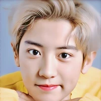 Kim Chanyeol ( 3rd unty of Tae)