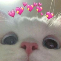 แอ๊ดเอง 💗