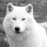 Salim Al-Abdulla Al-Atrash