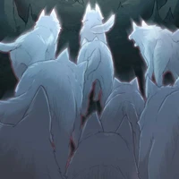 Les loups