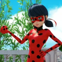 Ladybug