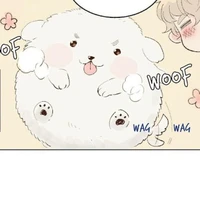 Mu (puppy)