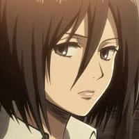 mikasa