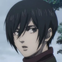 Mikasa
