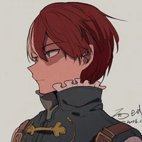 shoto todoroki