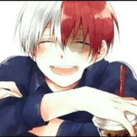shoto todoroki (todobro)