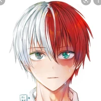 todoroki