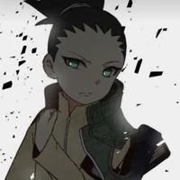 SHIKADAI