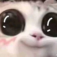 แอดมิ(มิฉาชีพ)