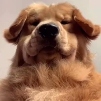 (แอด)
