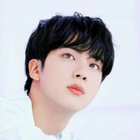 Kim Seokjin(Ksj)