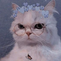 แอดเอง👑