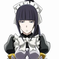 servante(mirei )