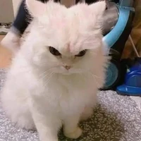 แอดคนขี้วีน