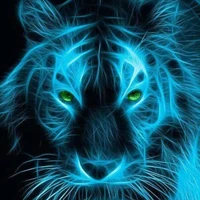 วิราช(สิงโตของนายเอก)🦁